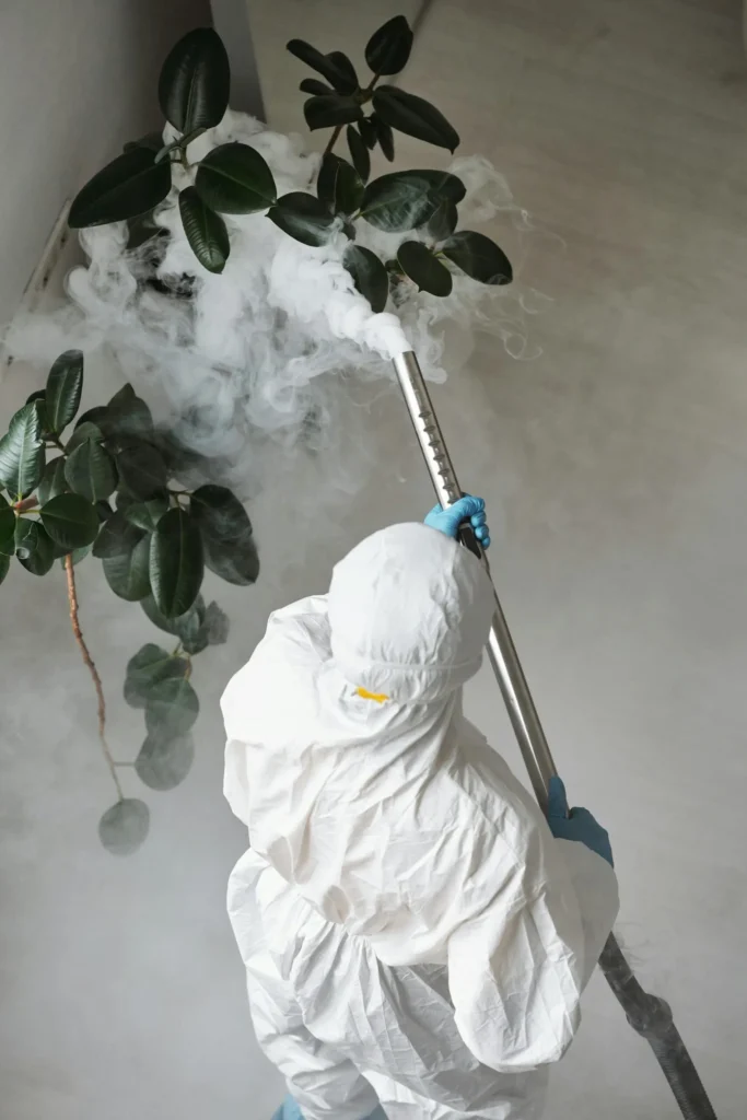 Trusted Pest Control - Hoboken Pest Control Pros | Hoboken, NJ | 551-345-4044